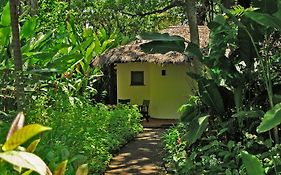 Moivaro Coffee Plantation Lodge